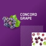 Optimum Nutrition Amino Energy - Pre Workout with Green Tea, BCAA, Amino Acids, Keto Friendly, Green Coffee Extract, Energy Powder - Concord Grape, 65 Servings - Image 3