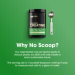 Optimum Nutrition Micronized Creatine Monohydrate Powder, Unflavored, 120 Servings, 600 Grams - Image 2