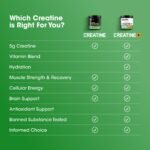 Optimum Nutrition Micronized Creatine Monohydrate Powder, Unflavored, 120 Servings, 600 Grams - Image 3