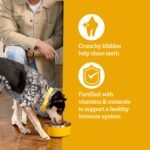 Pedigree Complete Nutrition Adult Dry Dog Food, Roasted Chicken & Vegetable Flavor, 18 lb. Bag - Image 2