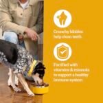 Pedigree High Protein Adult Dry Dog Food, Beef and Lamb Flavor, 18 lb. Bag - Image 6