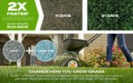 Scotts Turf Builder Rapid Grass Tall Fescue Mix, Combination Grass Seed and Fertilizer, Grows Green Grass in Just Weeks, 5.6 lbs. - Image 5