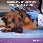 Pet MD Veterinary Tris Flush Cat & Dog Ear Cleaner - and Infection Treatment with Ketoconazole 12 oz - Image 4