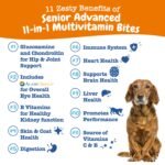 Zesty Paws Senior Dog Multivitamin Treats - Glucosamine for Dogs + Digestive Enzymes & Probiotics - Grain Free Dog Vitamins and Supplements for Skin & Coat + Immune Health Chicken - Advanced - 60ct - Image 3