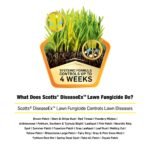 Scotts DiseaseEx Lawn Fungicide, Controls and Prevents Disease Up to 4 Weeks, Treats Up to 5,000 sq. ft., 10 lbs. - Image 3
