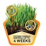 Scotts DiseaseEx Lawn Fungicide, Controls and Prevents Disease Up to 4 Weeks, Treats Up to 5,000 sq. ft., 10 lbs. - Image 7